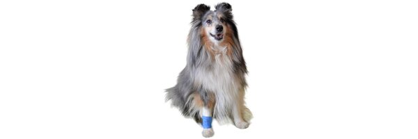 - 30% Hund
