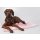 Trendpet Hundedecke Coco 110 x 80cm Rosa