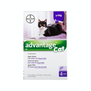 Advantage für Katzen über 4kg 1 Ampulle