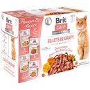 Brit Care Flavour Box Fillets in Gravy 12x85g