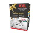Miamor Aktionsbox XXL Jelly 24er & 2x Cat Cream