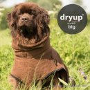 Dryup Cape Big Brown