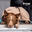 Hundemantel fit4dogs dryup cape Coffee