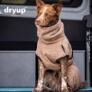 Hundemantel fit4dogs dryup cape Coffee M  60cm