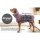 Hundemantel fit4dogs dryup cape Moos
