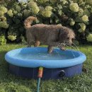 Nobby 2 in 1 Splash Pool L, 160 x 30cm