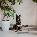 District 70 Futternapfständer für Bamboo Bowls M