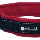 Petlando Outdoor Halsband M 45 - 50 cm Orange