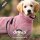 Dryup Cape Mini Rose