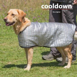 Cooldown Cape Standard Silver XS