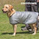 Cooldown Cape Standard Silver XS