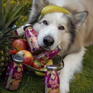SmoothieDog Obstkorb, 250ml
