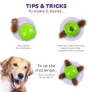 Nina Ottosson Snuffle n Treat Ball, small