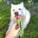 Smoothie Dog Quetschi