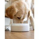Trendpet Porzellannapf Clay