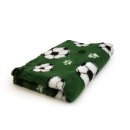 VB Vetbed Fussball