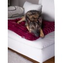 Trendpet Gefütterte Matte Mora, Berry