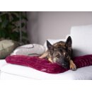 Trendpet Gefütterte Matte Mora, Berry