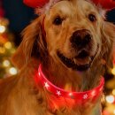 Nobby Xmas LED Lichtschlauch Yule
