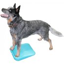 FitPAWS® Dog Balance Ramp
