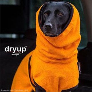 Hundemantel fit4dogs dryup cape Clementine
