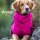 Hundemantel fit4dogs dryup cape Pink XS  48cm
