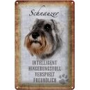 Deco50 Metallschild 30 x20 Rasse Schnauzer