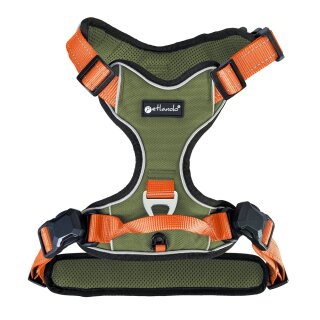 Olive/Orange