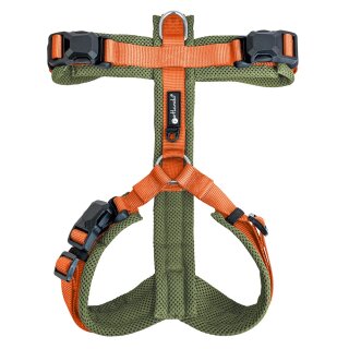 Olive/Orange
