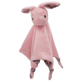 Hase Holly